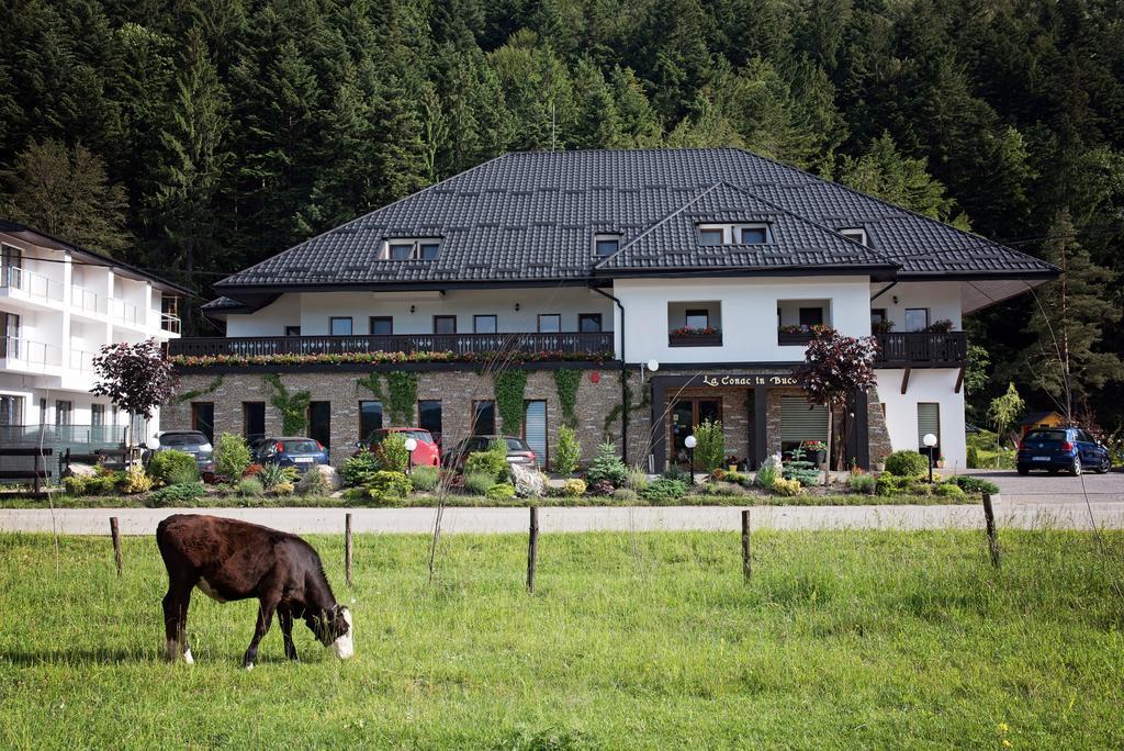 La Conac In Bucovina Hotel Гура Хуморулуй Екстериор снимка